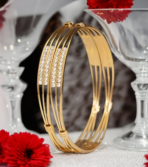Jewels Kafe Gold Plated Bangle Set of 2