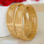 Jewels Kafe Gold Plated Bangle Set 2.10
